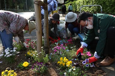 広がる活動の輪