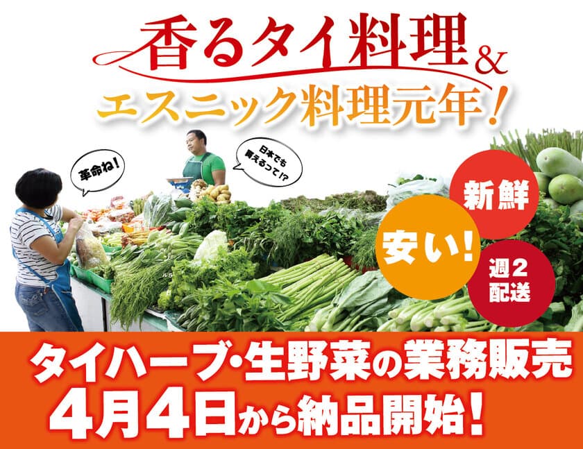 飲食店泣かせのエスニック食材がぐっと身近に！
エスニック料理に使用する生ハーブ＆野菜を販売する
新事業を4月4日に開始