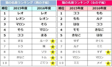 猫の名前ランキング