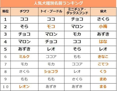 人気犬種ランキング