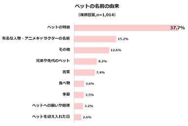 名前の由来