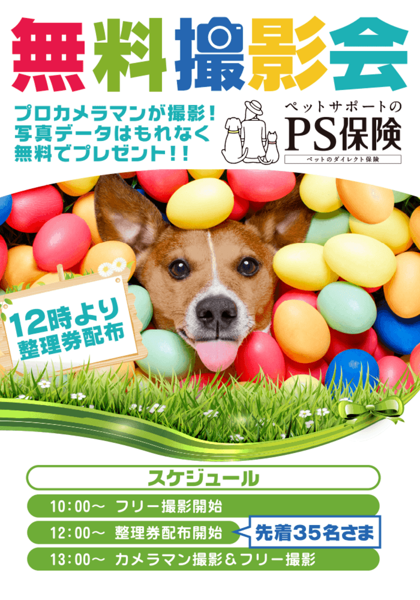 イースターのスタジオセットで、愛犬の記念写真を
プロカメラマンが無料撮影！
ペット保険の「PS保険」が代々木公園で開催の
愛犬家向けイベント(4/15、16)に出展！