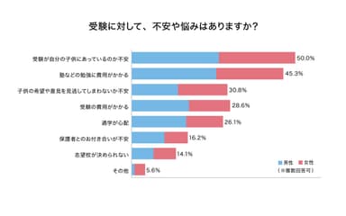 受験に対して、不安や悩みはありますか？