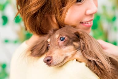 愛犬もリゾート気分を満喫