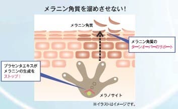 【マキアレイベル】リニューアルポイント(2)