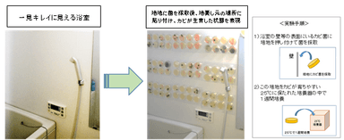 一見キレイに見える浴室内のあちこちに実はカビ菌が潜んでいる！