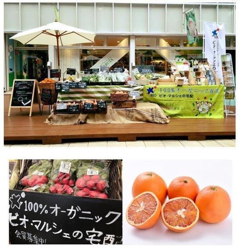 有機野菜の「ビオ・マルシェの宅配」、
KUZUHA MALLの「おいしい！たのしい♪がいっぱい！
くずはマルシェ」に出店