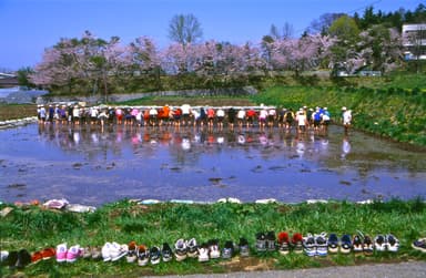 「ごたっ子の田んぼ」より《足でしろかき》1998年　西村 豊 (C)Yutaka Nishimura