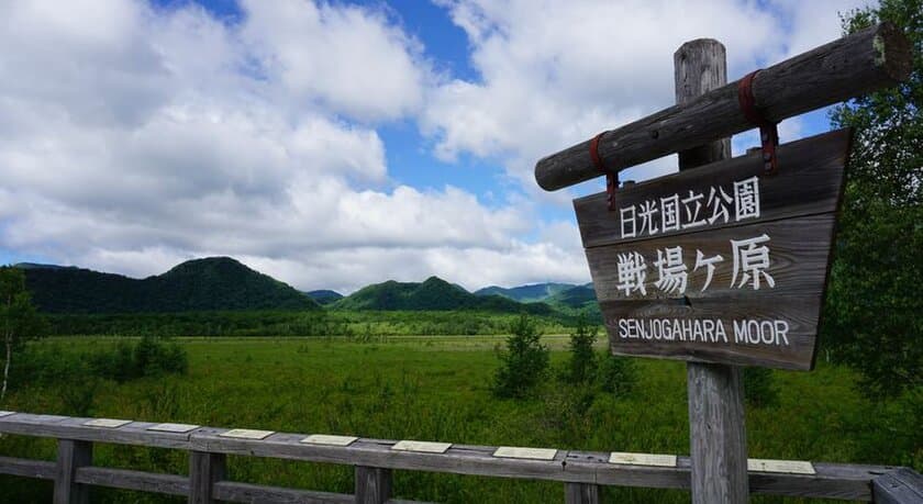 本州最大の高層湿原「尾瀬」と人気のハイクコース
「戦場ヶ原」を歩くいいとこどりハイクツアー