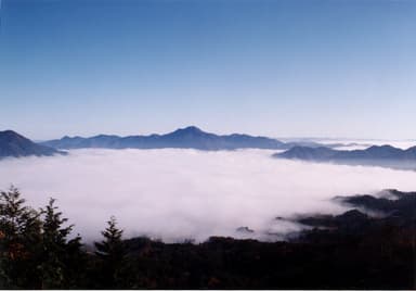 【邑南町】石見町の雲海