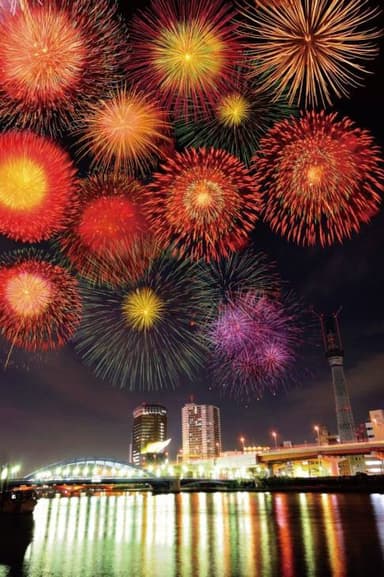 10位　隅田川花火大会（東京都台東区）