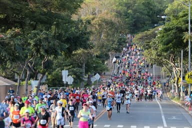 (c)2017ADK/Honolulu Marathon 毎年約3万人のランナーが参加