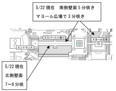 マップ