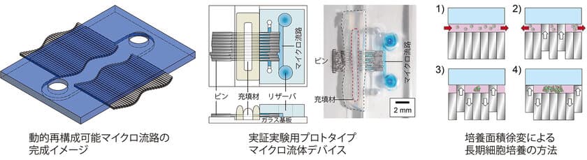 芝浦工業大学、1デバイスで細胞の培養や分析が
自由にできる新しい可動式マイクロ流体デバイスを開発