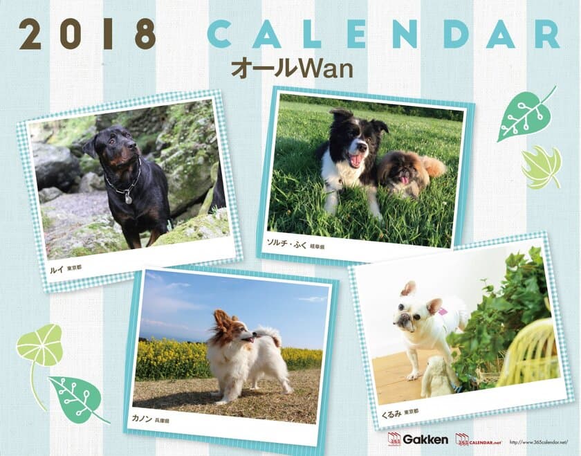 大好きなペットの写真を2018年のオリジナルカレンダーに！
6月17日より募集開始、
365日分の写真が集まると完成＆販売