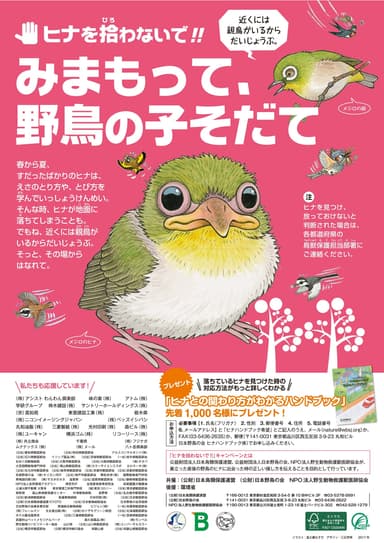 野鳥の子育て応援キャンペーンポスター