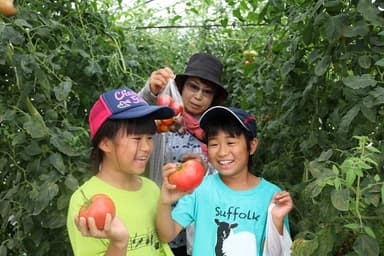 夏のお出かけにもぴったり