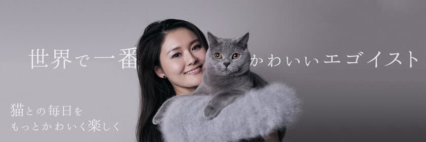 猫好き女子のためのフォトジェニックな猫グッズ通販サイト
『necotaro.com』オープン！