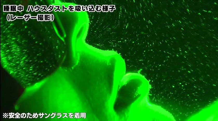 見ない方が良かった！？衝撃のダニ事実　
特殊カメラで撮影したハウスダスト可視化動画を公開！