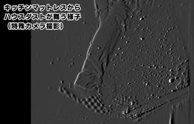 【ハウスダスト キッチン編】特殊カメラ撮影