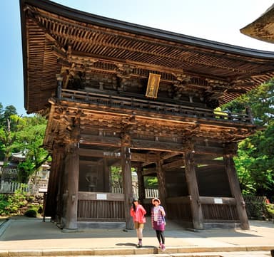 がまキングの部、コース変更！筑波山神社神門がゴール