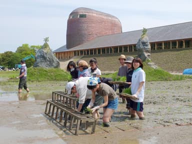 授業参考例(6)持続可能社会を衣食住から考える実践授業