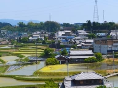 四條畷市の様子