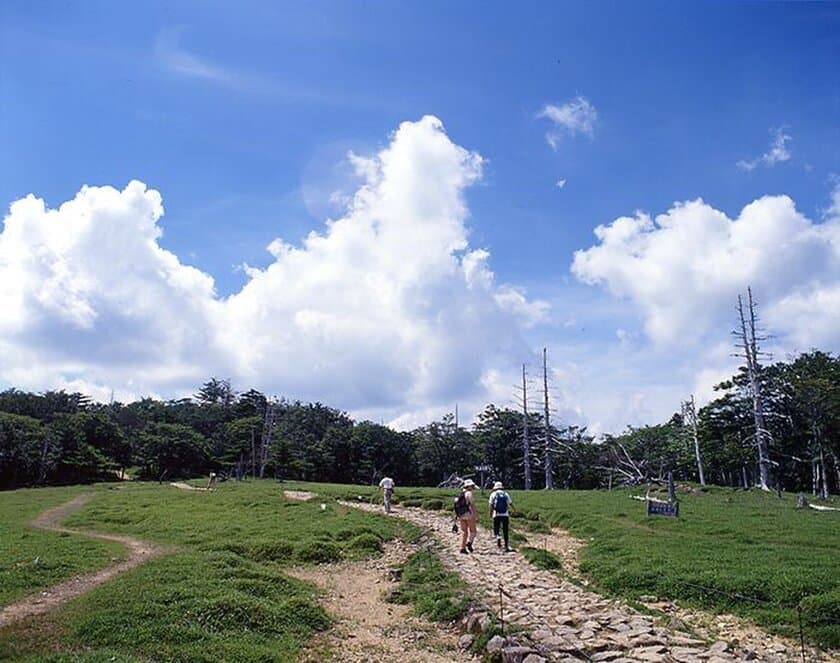 【奈良交通】夏山ハイキングに便利なバスのお知らせ