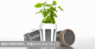 簡単な植物ポッド