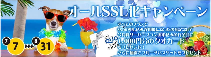 1stレンタルサーバーが
すべてのプランで「SSD」提供開始