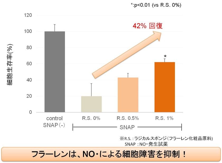 『フラーレン』が大気汚染による肌トラブルを抑制？
ヒト表皮角化細胞を使った実験で42％の細胞生存率上昇を確認