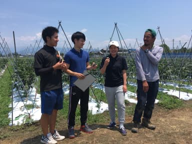 産地見学：サラダボウル（山梨県中央市）