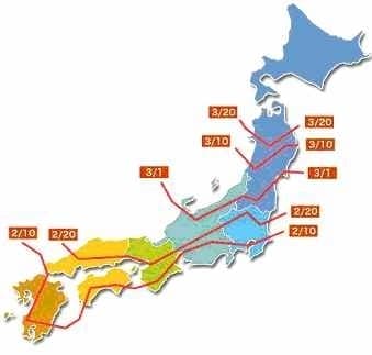 図1　花粉飛散図