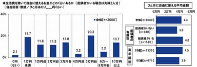 ひと月の自由資金