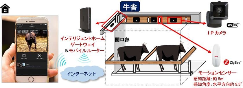 畜産農家が抱える課題解決にIoTサービス
「インテリジェントホーム」を活用
お産前の母牛の遠隔見守りに関する実証実験実施について