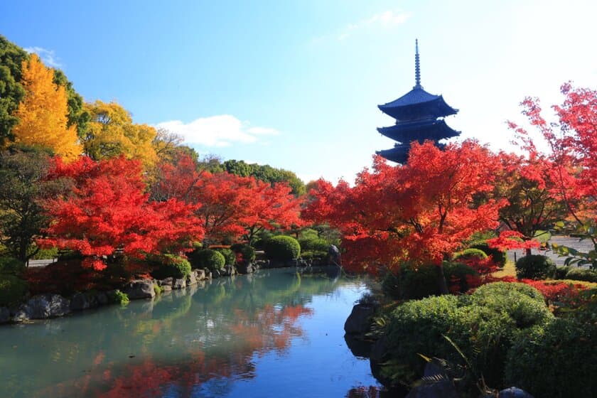 世界遺産 真言宗総本山「東寺」
×
京阪ホテルズ＆リゾーツ限定プレミアムプラン誕生！