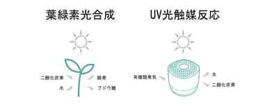 空気中のニオイを分解