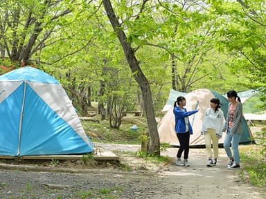 標高1&#44;200m夏でも涼しいキャンプ場(写真は那須)