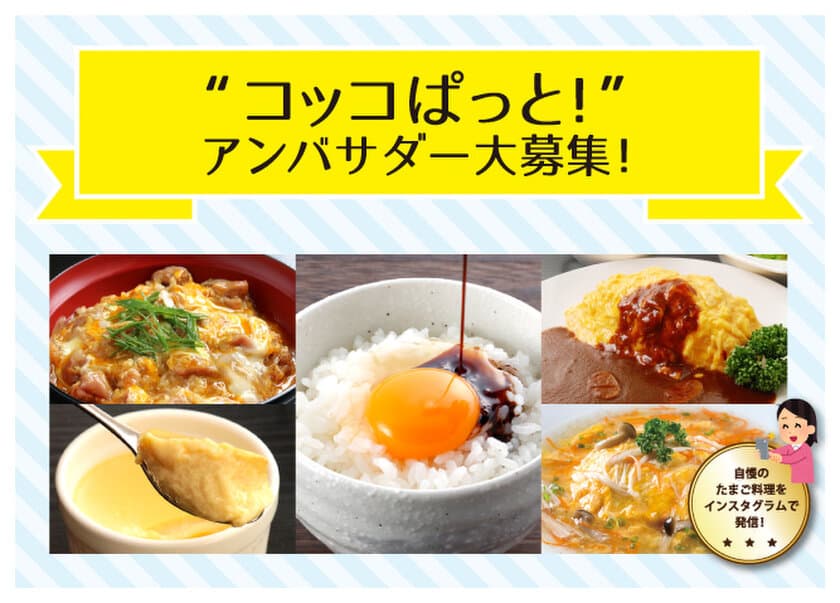 極上たまごが毎月1箱(40個)、無料で届く！
純国産鶏の採れたてたまごをお届けするコッコファームが
アンバサダーを募集！