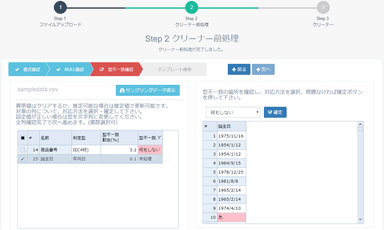 Cleaner型不一致確認