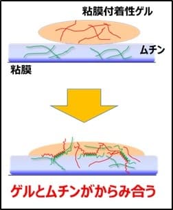 図2