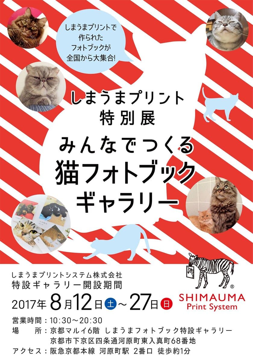 全国から1,000冊以上の猫フォトブックが集結！
しまうまプリント「みんなでつくる猫フォトブック展」
京都マルイで8月12日よりオープン！