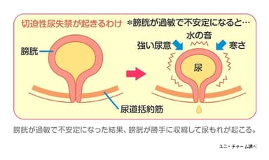 寒さが刺激となり「尿意」に敏感