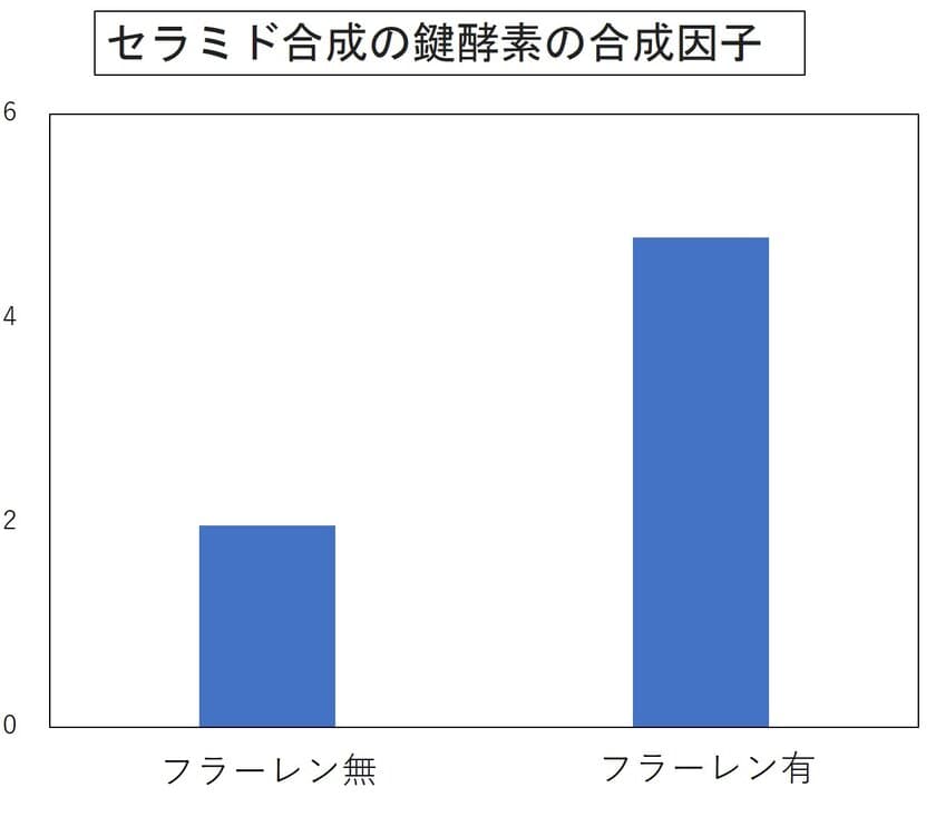 フラーレンにより肌の保湿力アップ！！
～保湿に必要なセラミド増加のメカニズムを確認～