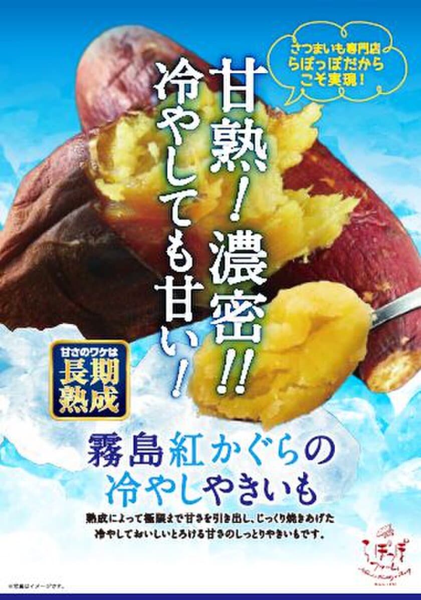 甘さのワケは長期熟成！あの安納芋を超える甘さ！？
さつまいも専門店だからこそ実現した甘熟“冷やしやきいも”
夏季限定で発売！