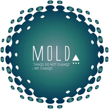 MOLD 3