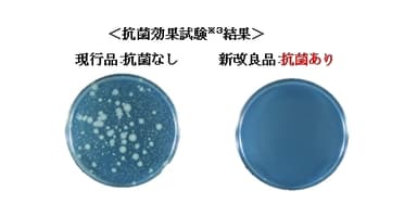 ＜抗菌効果試験(※3)結果＞