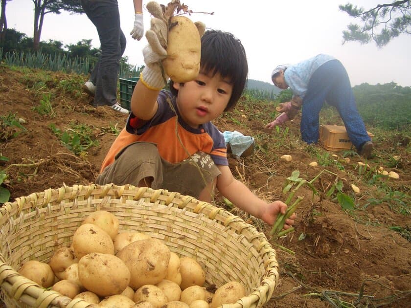 信州・小諸ふるさと市民の無料登録で
「幻のじゃがいも白土馬鈴薯」が当たる！