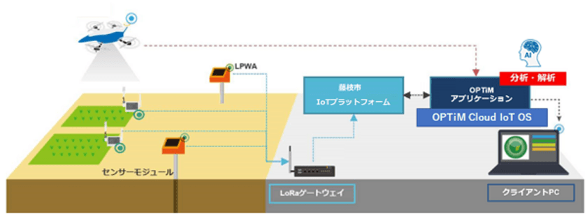 オプティムと藤枝市、
AI・IoT技術を活用した精密農業の取り組みを開始　
「圃場管理支援事業」にて「OPTiM Cloud IoT OS」を活用