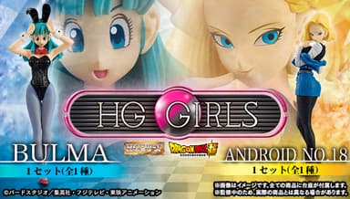 HG GIRLS ブルマ／HG GIRLS 人造人間18号　バナー(4)